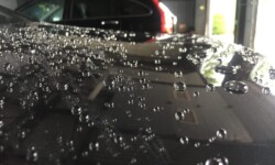 WAX ZYMOL